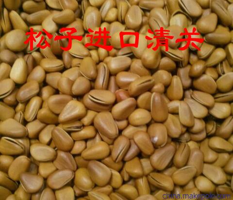 開心果夏威夷果整柜美國堅果進口清關(guān)代理